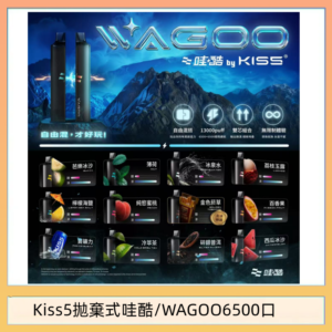WAGOO哇酷Kiss5 6500口拋棄式 | 自由混搭雙口味 | 雙芯組合