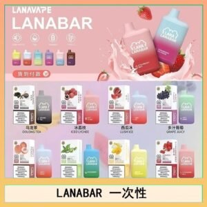 LANA BAR可充电一次性電子煙霧化5000口(3.0%)