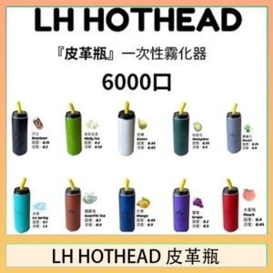 LH HOTHEAD皮革瓶電子煙可充電6000口一次性