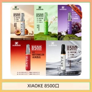 梟客XIAOKE一次性電子菸拋棄式8500口