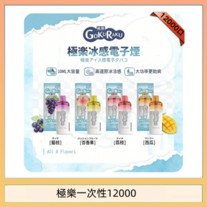 【8種口味】極楽 12000口一次性電子煙|超大容量 |口感絲滑|新品
